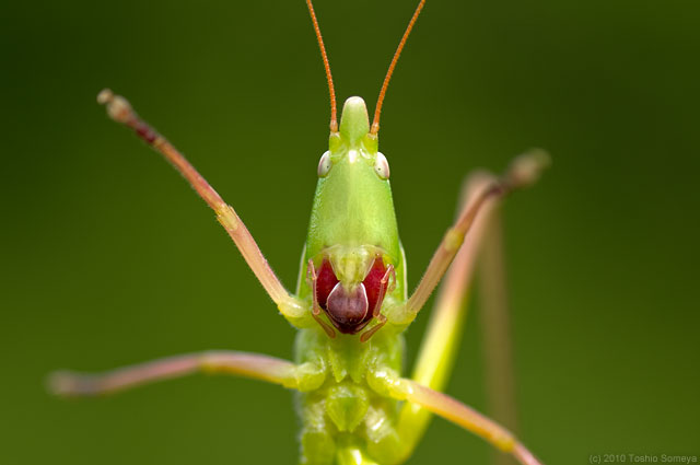 �N���b�N�Ŏ��̃y�[�W��