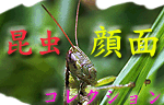symbol