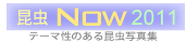 �����i�E2011��