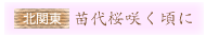 �k�֓� �c����̍炭����