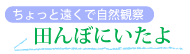 �c��ڂɂ�����̃��S