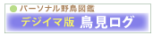 �f�W�C�}�Œ������O��