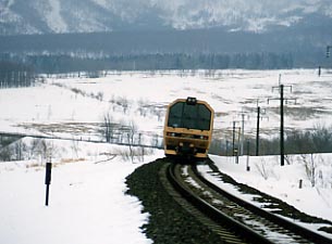 �V�V�g���C���V�~��