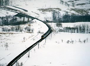 �V�V�g���C���O����