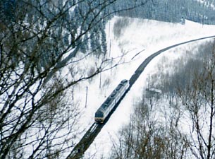 �V�V�g���C�����ȁE�V�~��