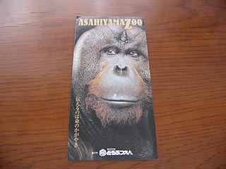 ���R�������p���t���b�g