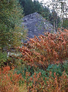 ���m�����R