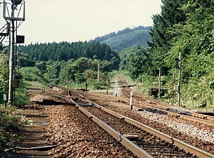 �m�R�w�X�C�b�`�o�b�N