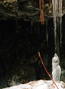 �X�̃j�����j����