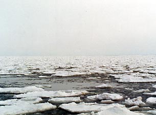 ���X����