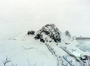 �I�����R�₩��̗��X�P