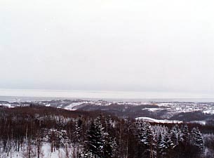 �V�s�R����̗��X