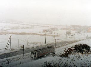 �t���g�C�W�]�䂩��̋��Ԑ��̗��