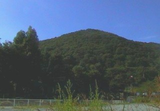 �M�v�R