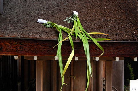 菖蒲草を葺いた屋根 京都上賀茂神社 ストックフォトの京都写真紀行