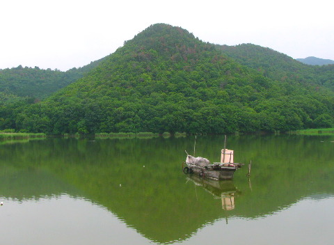 広沢の池と遍照寺山