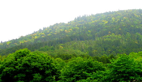 三輪山 奈良県桜井市