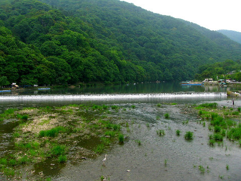 大堰川 京都市左京区