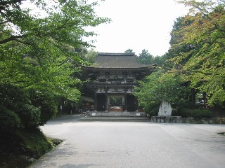�O�䎛