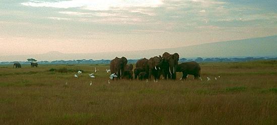 �A�t���J�ۖ�10��