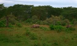 ��
