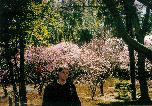 Me in Kyoto