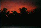 Red dusk