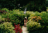Singapore garden