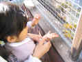 0403140156.JPG (463292 バイト)
