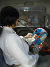 020313-29.jpg (25902 バイト)