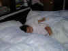 PA230005.jpg (18398 バイト)