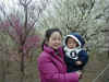 P2230025.JPG (421996 oCg)