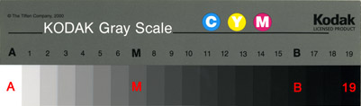 KODAK Q-13/Q-14グレースケール・チャート