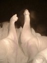 �߂��Ō���Ƃ��̑傫�����`���܂��I