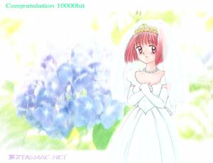 ���z�Ԃ̉ԉ�(unzi�����)