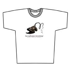furlink.jp