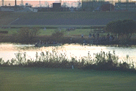 edogawa image
