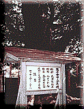 鬼子母神2