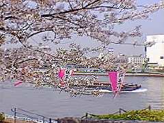 隅田公園