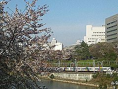 外濠公園