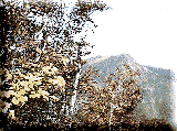 �J��x�g�t