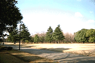 Yoyogi Park