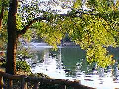 ��̓�����