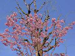 ������97