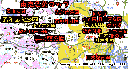 東京紅葉マップ