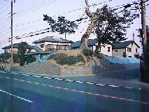 �R���� �y��