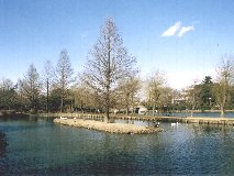 �E�� �������