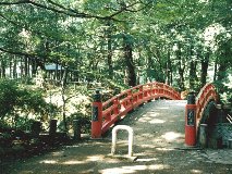 �_���� �_����