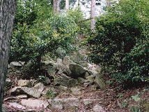 �ٍ�R��̈�\