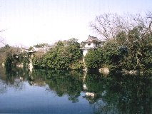 �@�r�Ɩ͋[�E